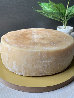 Raclette Wheel