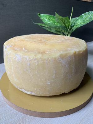 Monterey Jack Wheel