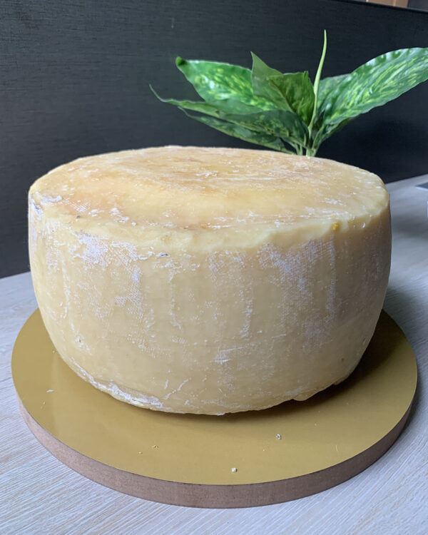 Monterey Jack Wheel